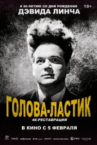 Голова-ластик